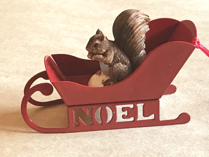 tiny squirrel in a sleigh