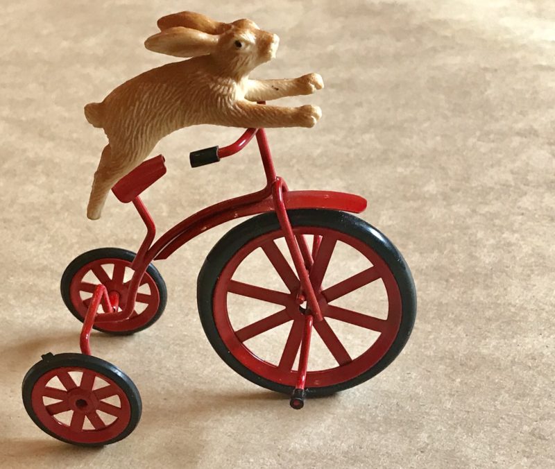 tiny rabbit on a tiny red bike