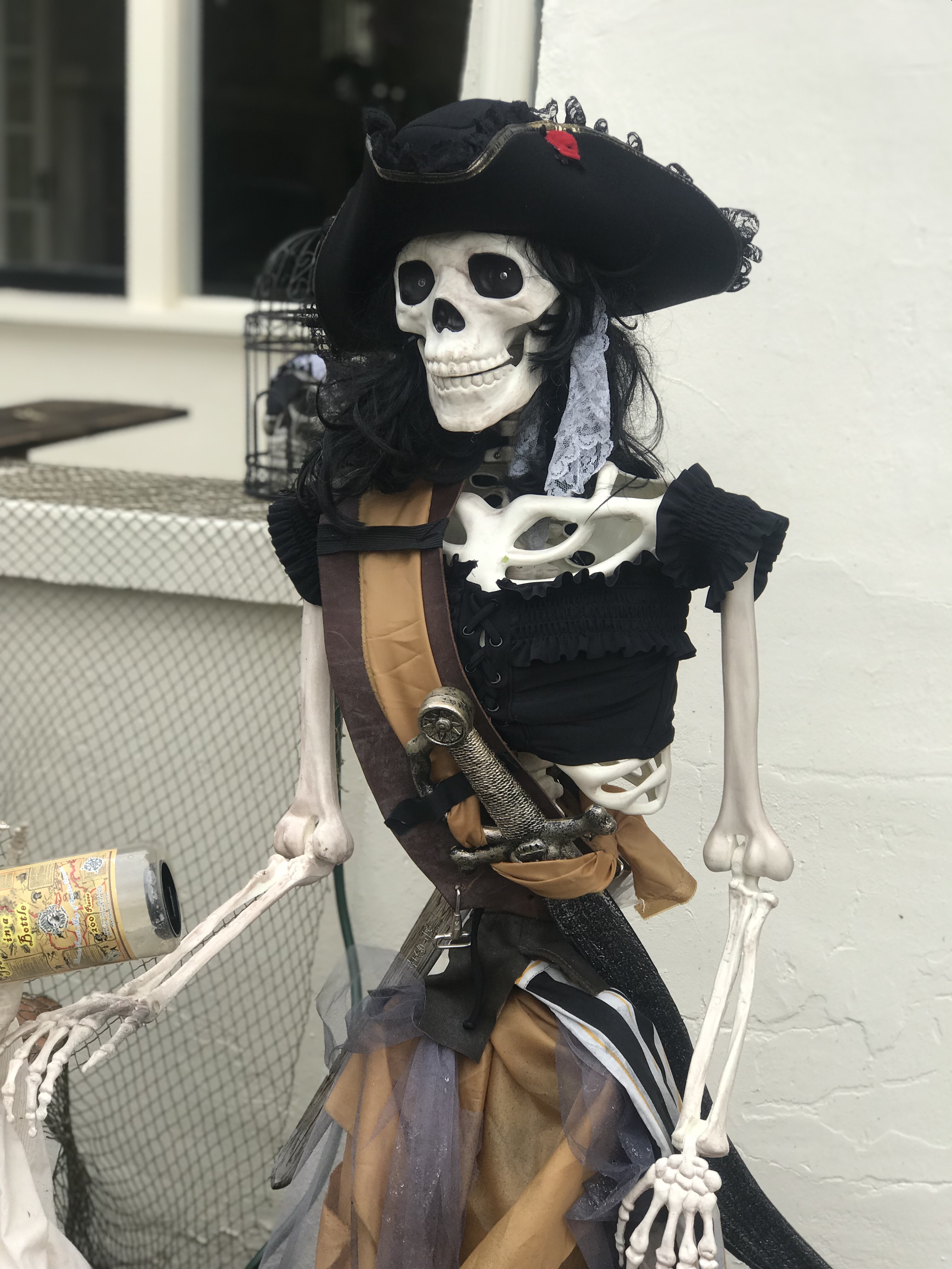 DIY Pirate Skeleton & Halloween Party Props Decor
